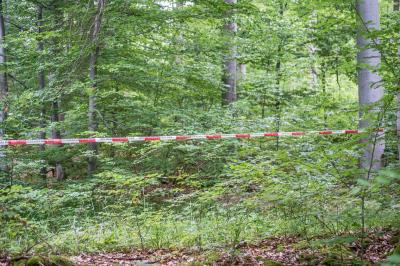 Nuertingen: Ein Toter bei Flugzeugabsturz